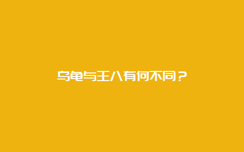 乌龟与王八有何不同？