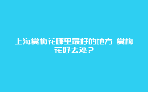 上海赏梅花哪里最好的地方 赏梅花好去处？