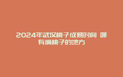 2024年武汉桃子成熟时间 哪有摘桃子的地方