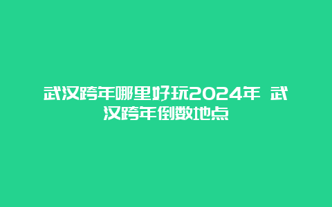 武汉跨年哪里好玩2024年 武汉跨年倒数地点