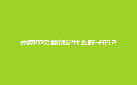 南京中央商场是什么样子的？