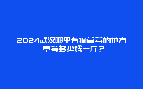 2024武汉哪里有摘草莓的地方 草莓多少钱一斤？