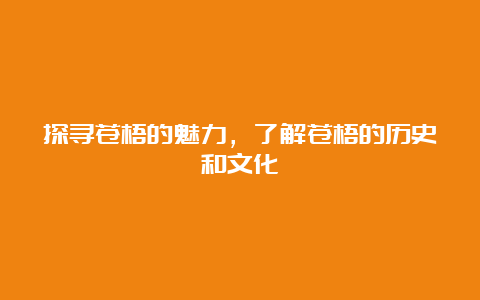 探寻苍梧的魅力，了解苍梧的历史和文化