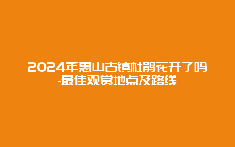 2024年惠山古镇杜鹃花开了吗-最佳观赏地点及路线