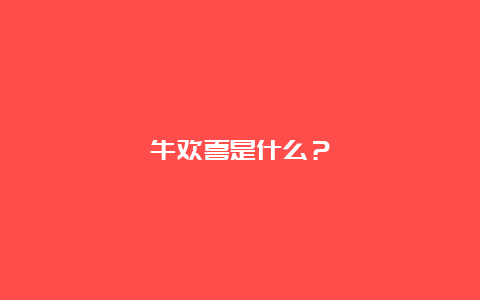 牛欢喜是什么？