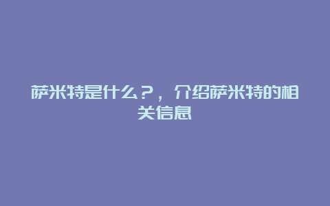 萨米特是什么？，介绍萨米特的相关信息