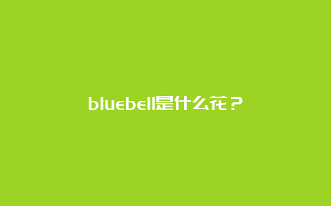 bluebell是什么花？