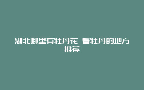 湖北哪里有牡丹花 看牡丹的地方推荐