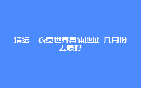 清远薰衣草世界具体地址 几月份去最好