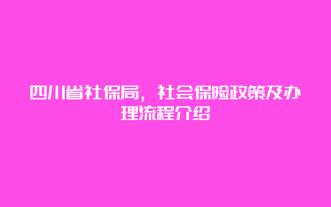 四川省社保局，社会保险政策及办理流程介绍