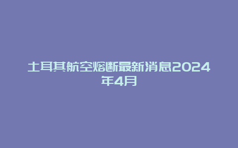 土耳其航空熔断最新消息2024年4月