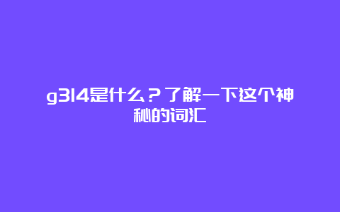 g314是什么？了解一下这个神秘的词汇