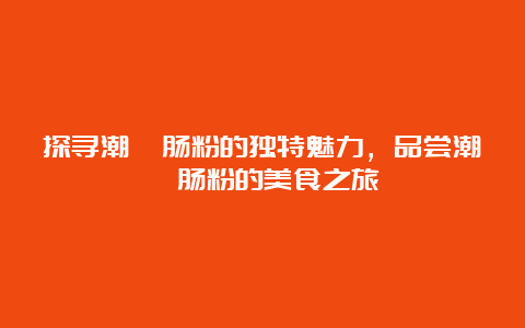 探寻潮汕肠粉的独特魅力，品尝潮汕肠粉的美食之旅