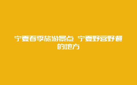 宁夏春季旅游景点 宁夏野营野餐的地方