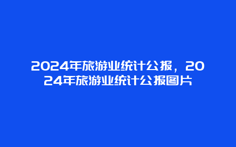 2024年旅游业统计公报，2024年旅游业统计公报图片