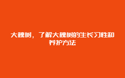 大槐树，了解大槐树的生长习性和养护方法