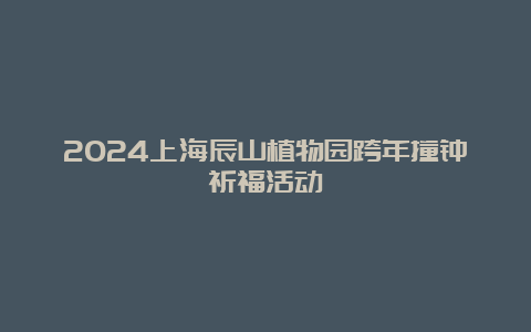 2024上海辰山植物园跨年撞钟祈福活动