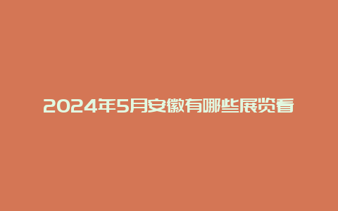 2024年5月安徽有哪些展览看