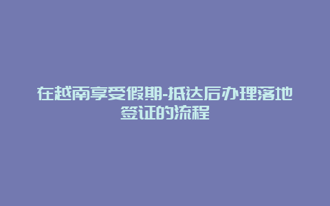 在越南享受假期-抵达后办理落地签证的流程