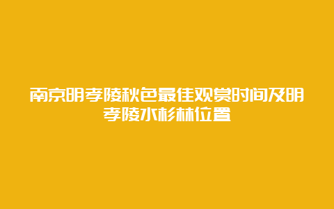 南京明孝陵秋色最佳观赏时间及明孝陵水杉林位置