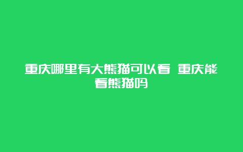 重庆哪里有大熊猫可以看 重庆能看熊猫吗