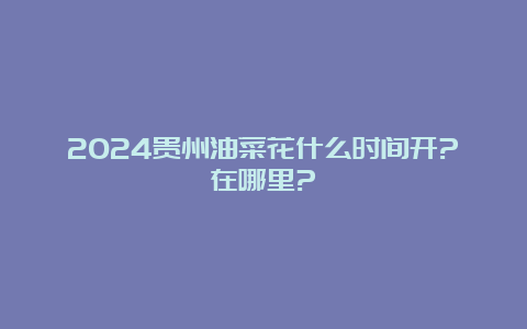 2024贵州油菜花什么时间开?在哪里?