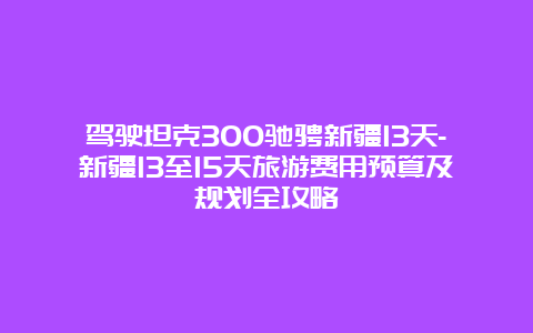 驾驶坦克300驰骋新疆13天-新疆13至15天旅游费用预算及规划全攻略