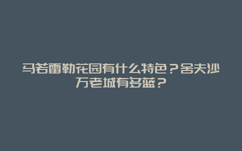 马若雷勒花园有什么特色？舍夫沙万老城有多蓝？