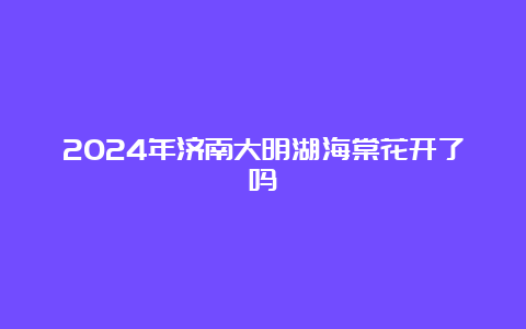 2024年济南大明湖海棠花开了吗