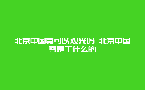 北京中国尊可以观光吗 北京中国尊是干什么的