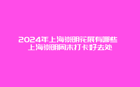 2024年上海崇明花展有哪些 上海崇明周末打卡好去处