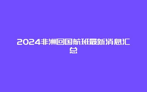 2024非洲回国航班最新消息汇总