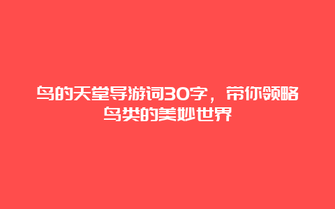 鸟的天堂导游词30字，带你领略鸟类的美妙世界