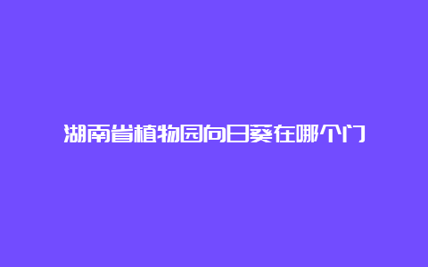 湖南省植物园向日葵在哪个门