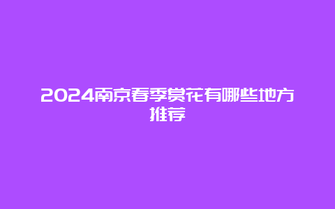 2024南京春季赏花有哪些地方推荐