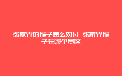 张家界的猴子怎么对付 张家界猴子在哪个景区