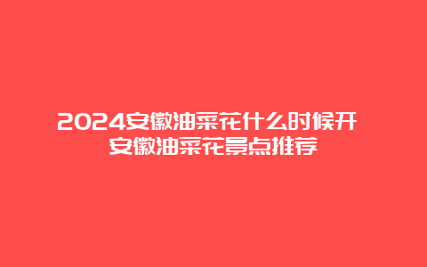 2024安徽油菜花什么时候开 安徽油菜花景点推荐