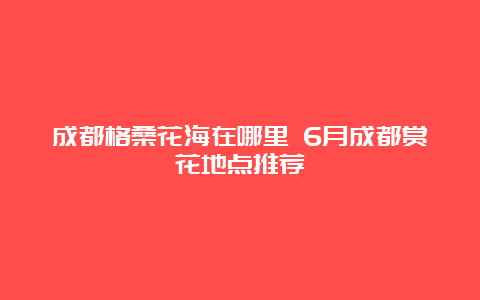 成都格桑花海在哪里 6月成都赏花地点推荐