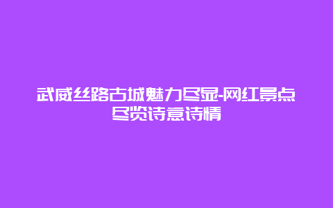 武威丝路古城魅力尽显-网红景点尽览诗意诗情