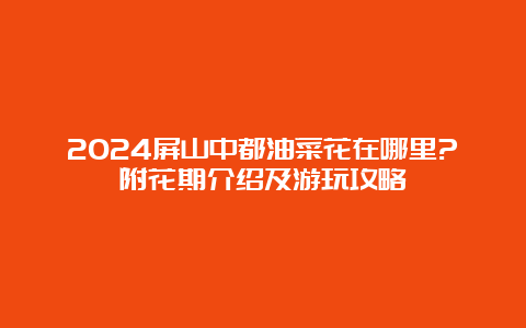 2024屏山中都油菜花在哪里?附花期介绍及游玩攻略