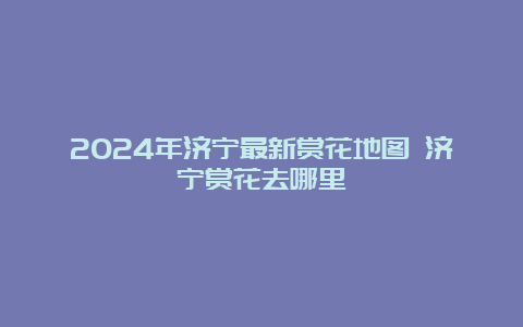 2024年济宁最新赏花地图 济宁赏花去哪里