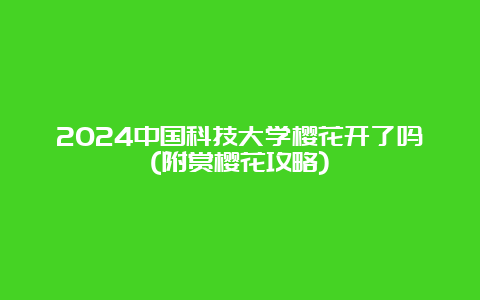 2024中国科技大学樱花开了吗(附赏樱花攻略)