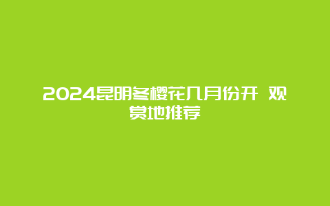 2024昆明冬樱花几月份开 观赏地推荐