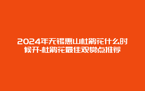 2024年无锡惠山杜鹃花什么时候开-杜鹃花最佳观赏点推荐