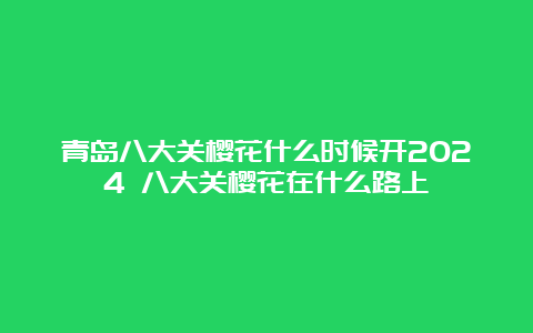 青岛八大关樱花什么时候开2024 八大关樱花在什么路上