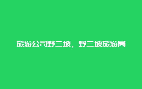 旅游公司野三坡，野三坡旅游局