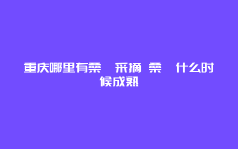 重庆哪里有桑葚采摘 桑葚什么时候成熟