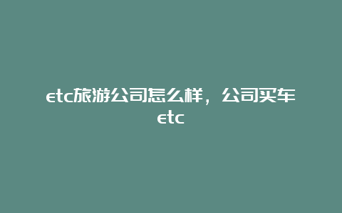 etc旅游公司怎么样，公司买车etc