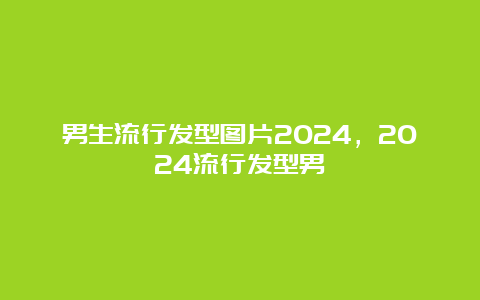 男生流行发型图片2024，2024流行发型男