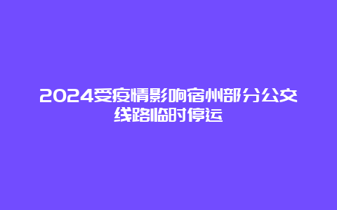 2024受疫情影响宿州部分公交线路临时停运